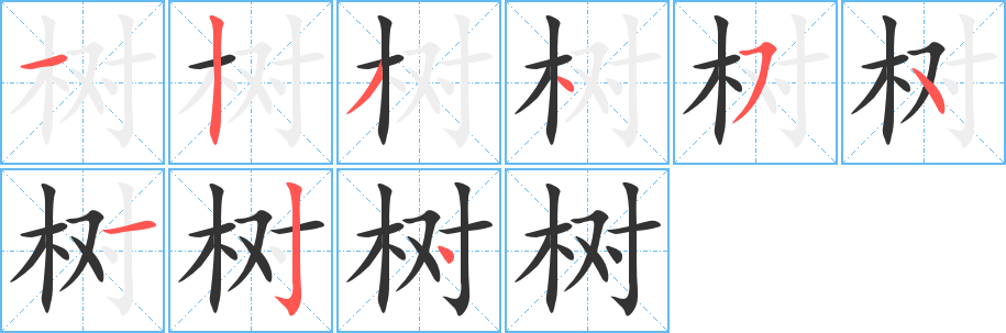 汉字 树(组词) 拼音 shù 部首 木 笔画数 9 名称 横,竖,撇,点,横撇