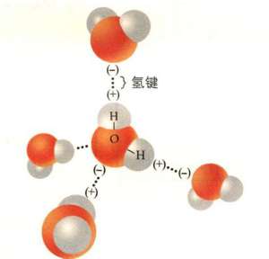氢键