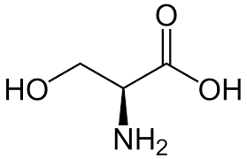 丝氨酸r侧链图片