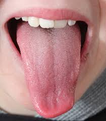 tonguetongue是什么意思tongue怎么读例句